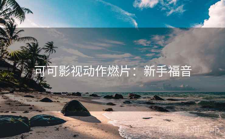 可可影视动作燃片：新手福音