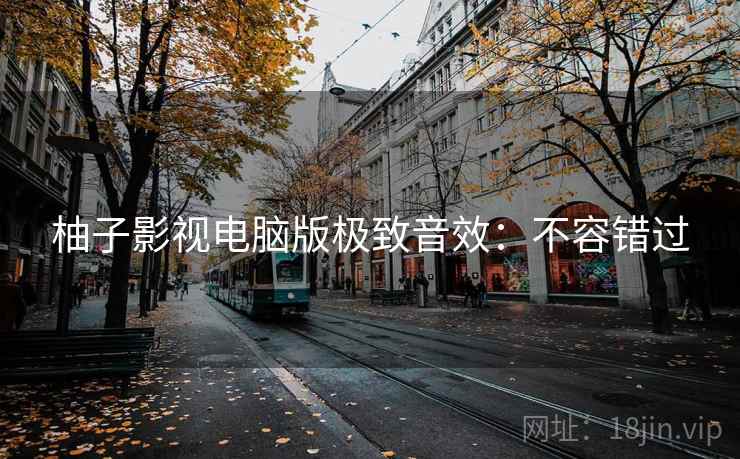 柚子影视电脑版极致音效：不容错过