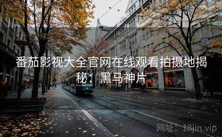番茄影视大全官网在线观看拍摄地揭秘：黑马神片